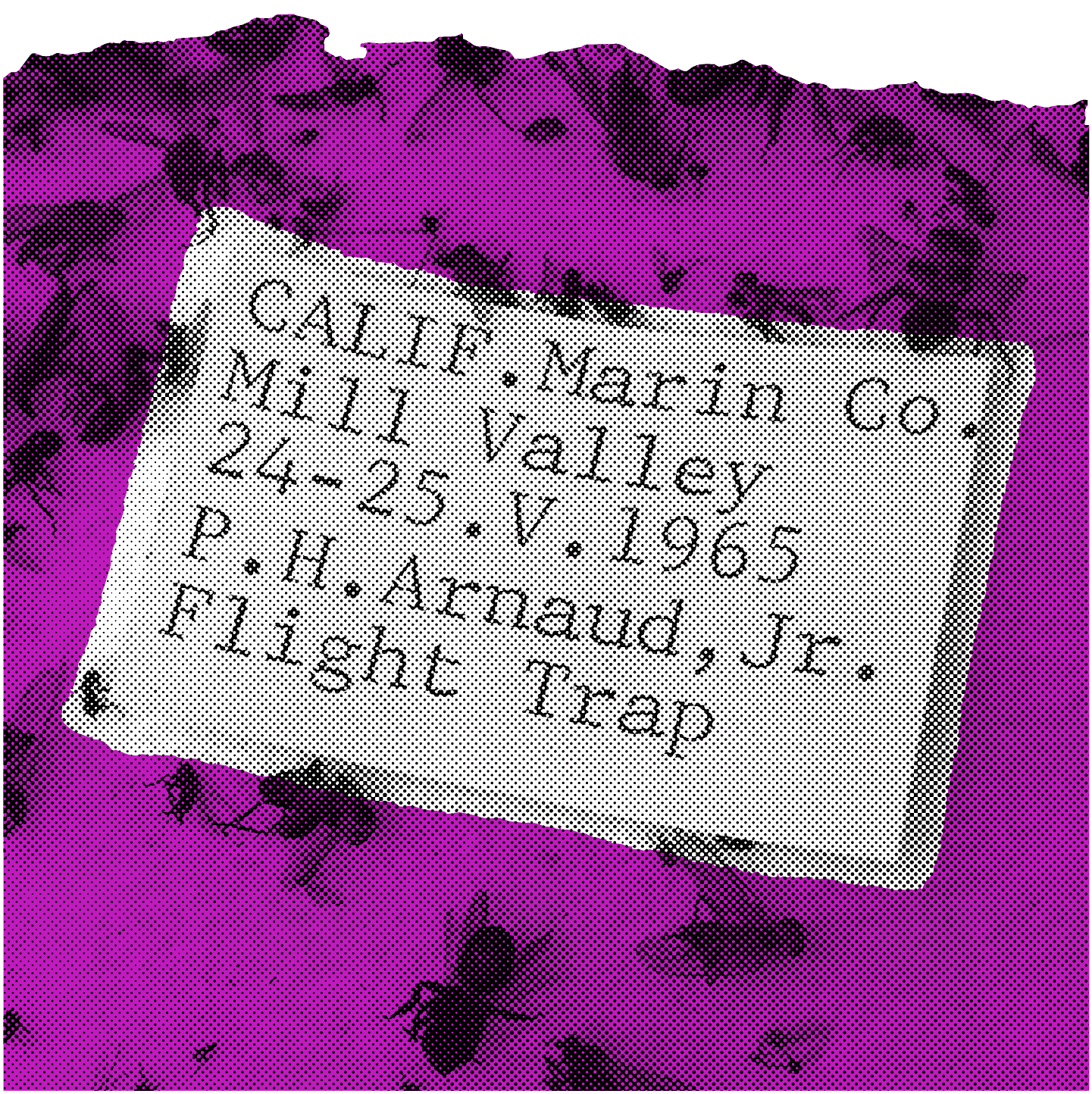 <b class="accent">FIG. 6 — </b> The typewritten label that inspired Bezzia.